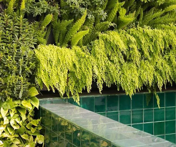 Luster Ξενοδοχείο